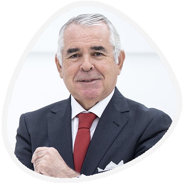 Dr. Pedro J. Navarro Merino